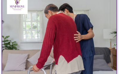 What to Look for When Choosing a Home Care Provider in White Bear Lake, MN